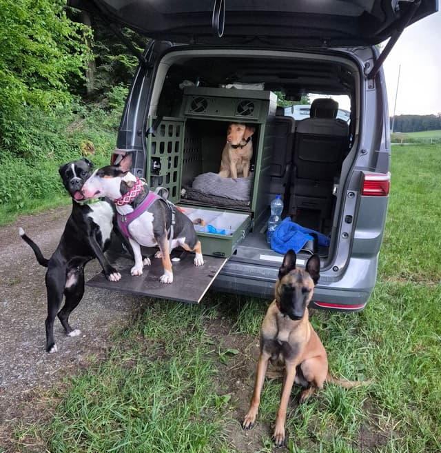 Hochwertige Hundeboxen aus Aluminium