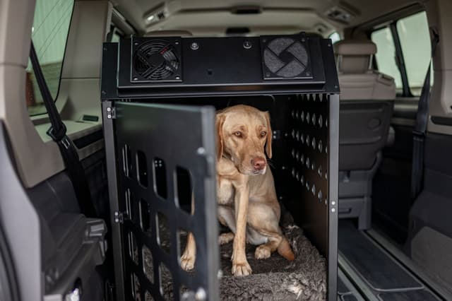Hochwertige Hundeboxen aus Aluminium